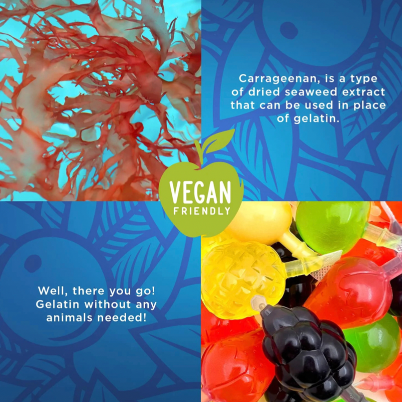 Vegan Fruit Jelly • Vegan Everytime